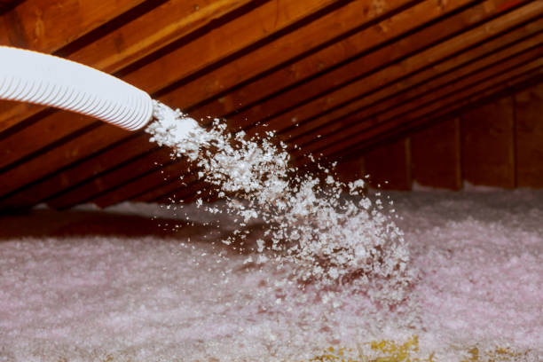 Best Geographic-Specific Insulation Services in Southmont, PA