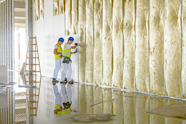 Best DIY Insulation Kits and Guidance in Southmont, PA